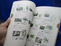 樹と花の絵図典