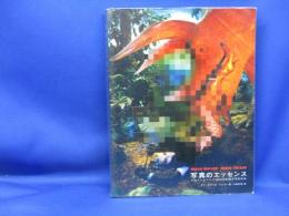 写真のエッセンス : プロフェッショナル28人が語る写真作法