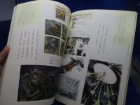 トコトン!神沢利子展 : いのちの水があふれだす