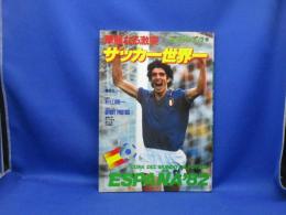 サッカー世界一 : 華麗なる激突