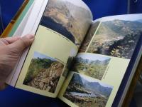 好太王碑と集安の壁画古墳 : 躍動する高句麗文化