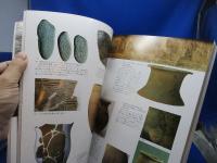 装飾古墳の世界 : 国立歴史民俗博物館開館10周年記念企画展示