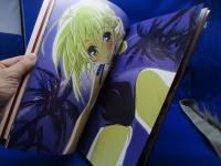 Fate/stay nightセイバー写真集