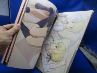 Fate/stay nightセイバー写真集