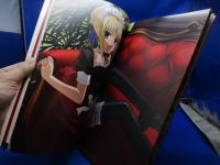 Fate/stay nightセイバー写真集