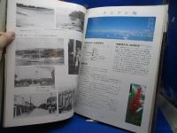遥かなり南方戦跡 : 同期生南方従軍記録,南方戦跡慰霊巡拝記念写真集