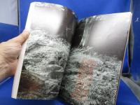 室生犀星文学アルバム : 第27回特別展図録