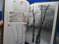 墨の美に学ぶ水墨画 : 基礎から創作まで