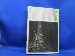銅版画 : さまざまな技法による銅版画の実際
