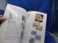 美濃・飛騨の古代史発掘 : 律令国家の時代 特別展