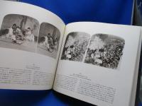 Nippon : 明治の日本を旅する 立体写真集