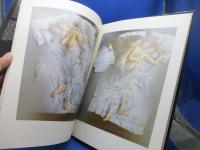 洋書 Poen de Wijs画集 オランダ現代画家 限定1500部署名入