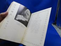 磐井の叛乱 : 抹殺された英雄