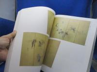 狩野探幽展 : 生誕四〇〇年記念