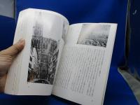 バウマイスター・ゲーテ : ゲーテと建築術