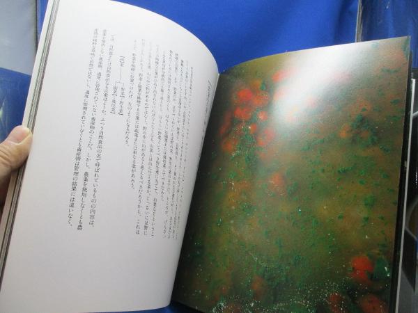 百味菜々(横山夫紀子 拵え ; 秋元茂 撮り) / 古本、中古本、古