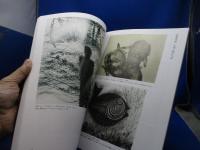 銅版画を作ろう : 版画技法入門講座