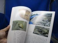 木簡が語る古代のいわき