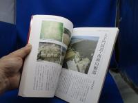 安土信長の城と城下町 : 発掘調査20年の記録