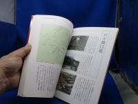 安土信長の城と城下町 : 発掘調査20年の記録