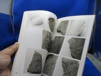 茨城の古瓦 : 特別展