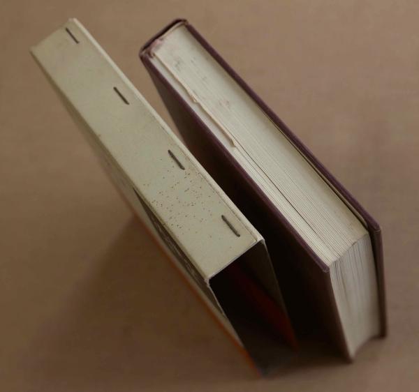 憲法Ⅱ 基本的人権〔新版〕法律学全集４(宮沢俊義) / 古本、中古本、古