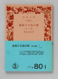渦巻ける鳥の群 他三篇（岩波文庫）