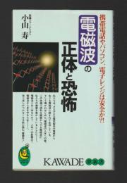 電磁波の正体と恐怖　携帯電話やパソコン、電子レンジは安全か?! ＜KAWADE夢新書＞