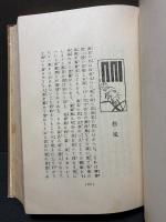 新訳源氏物語　上・下