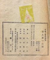 月え昇った男 ; 科学大冒険読物