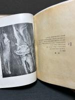 ブレークの言葉 : 彼の手紙及び散文よりの抜粋