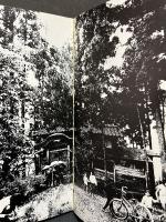 瞽女 : 橋本照嵩写真集