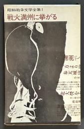 昭和戦争文学全集　揃16巻