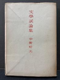文学試論集