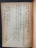 文学試論集