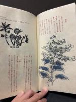 和紙 WASHI　署名本