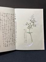紙漉大概