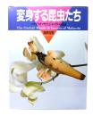 変身する昆虫たち : ハナビラカマキリとジャングルの昆虫
