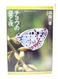 チョウの昼と夜