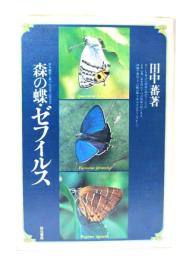 森の蝶・ゼフィルス