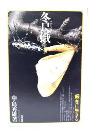冬尺蛾 : 厳冬に生きる
