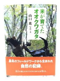 米が育てたオオクワガタ