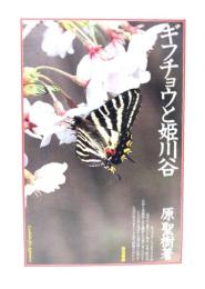ギフチョウと姫川谷