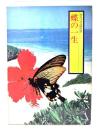 蝶の一生 (デラックス99の謎・自然科学 7)