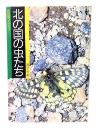 北の国の虫たち