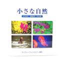 小さな自然 ANDY 2002年 作品集