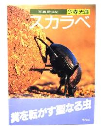 スカラベ : 写真昆虫記