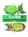 昆虫の擬態