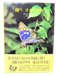 飛べオオムラサキ