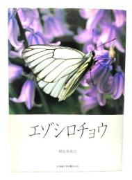 エゾシロチョウ